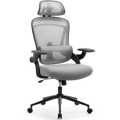Ergonomic Office Chair with Adjustable Headrest and Armrests by Inbox Zero