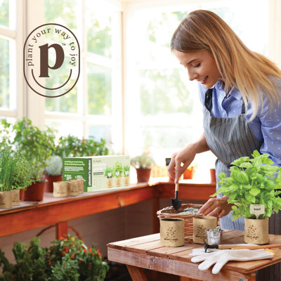 9 Herb Indoor Window Garden Kit - Birthday Gifts - House Plants Seeds - Best Unique Gift Ideas for Women, Mom, Friend, Her, Housewarming, Mother - Live Plant Starter, Gardening Lovers