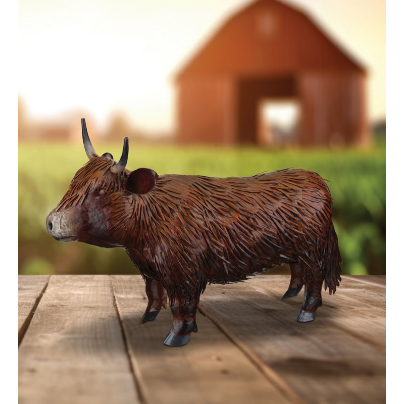 Vache Highland 10 po