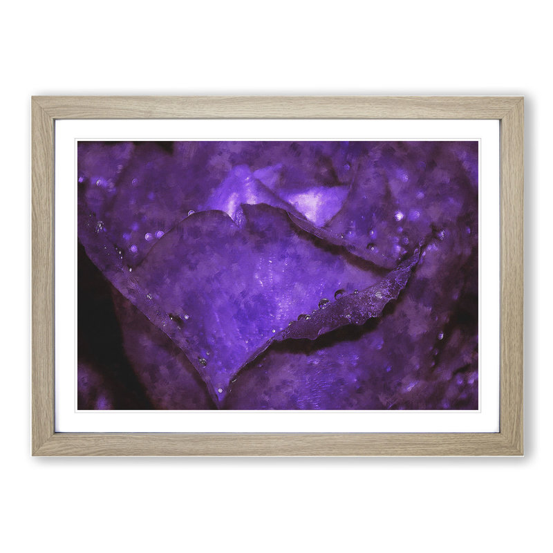 Purple Rose Flower Vol.4 - Framed Print, 48cm H x 65cm W x 2cm D, Oak Framed