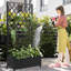 Boîte à fleurs pour l'extérieur Flora-111605284