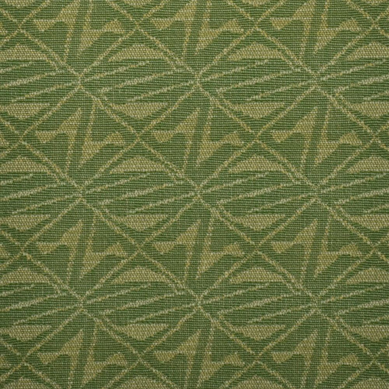 Tissu aala Jalene Kanani Exclusively, Wasabi