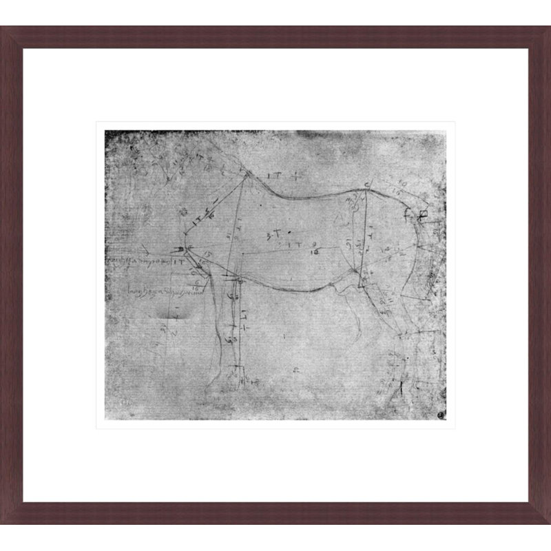 Study of a Horse (metal point on paper) (b/w photo) by Leonardo da Vinci -Framed Giclee Print, H 13,75 po x l 15,17 po