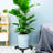 Steen Weather Resistant Caddy Plant Stand-601760749-601761158