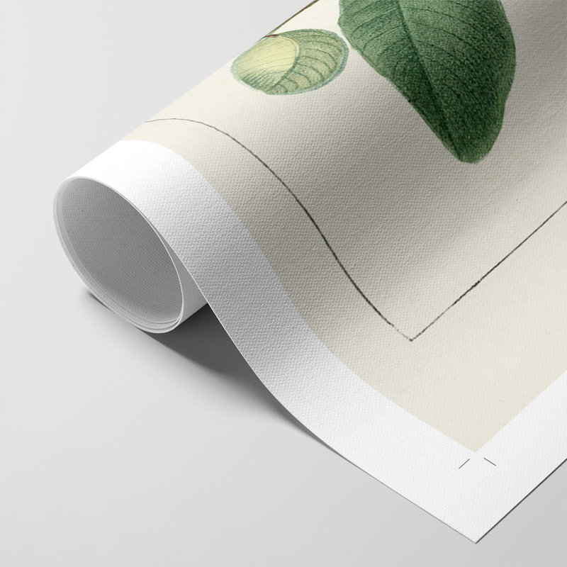 Turpin Tropical Botanicals V - Impression sur toile seulement - NON-CADRE, H 27 po x l 18 po