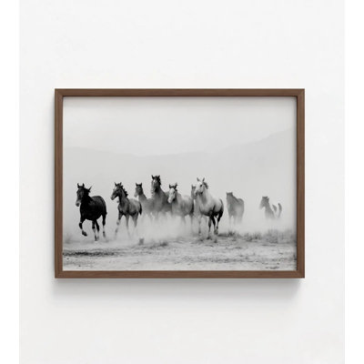 Wild Running Horses, Black & White