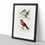 Bird Illustrations PL. 3B by Charles d Orbigny - Framed Print-55457126-55457122