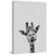 Cool Giraffe - Drawing on Canvas-1727424700