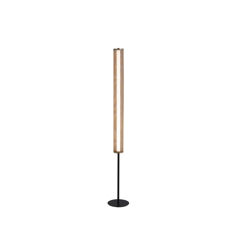 Daouia 156cm Matt LED Traditional Floor Lamp