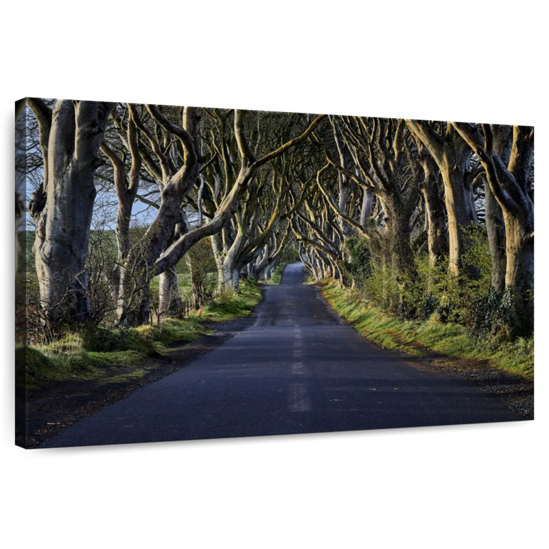 Kavia The Dark Hedges, 32" H x 48" W