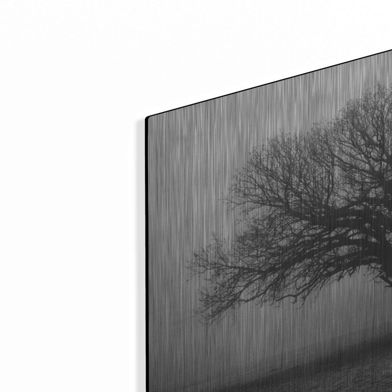 «Evening Mist» par Debra Van Swearingen, H 16 po x l 24 po