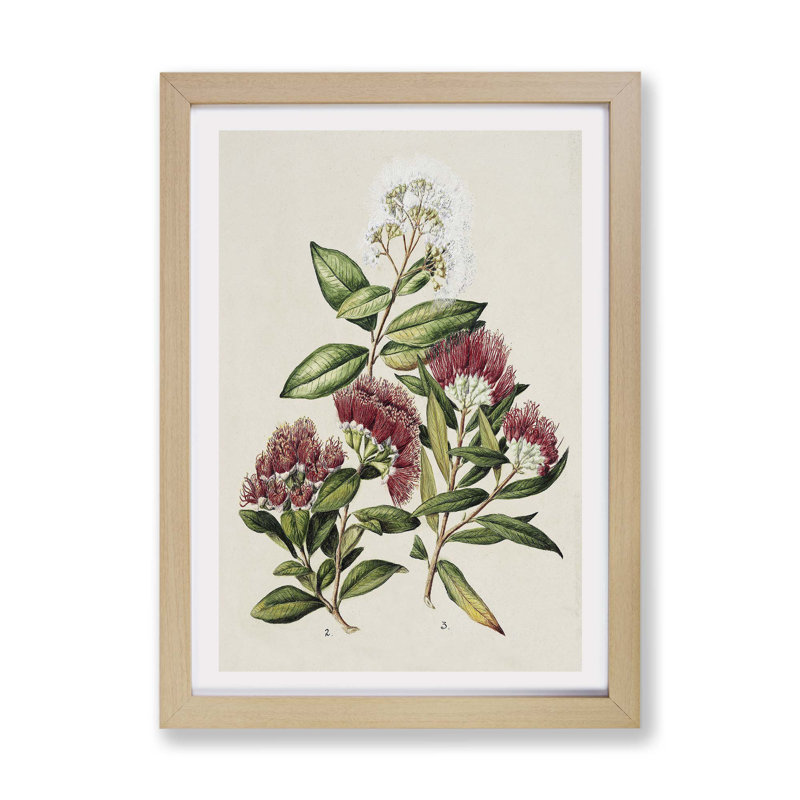 Rata Flowers by Sarah Featon - Single Picture Frame Painting, 33cm H x 45cm W x 2cm D, Oak
