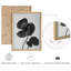 Art mural encadré monochrome fleur de coquelicot - Illustration botanique noir et blanc avec ombre, œuvre d'art moderne et élégante pour le décor d'une chambre ou d'un salon-118383281-118383277