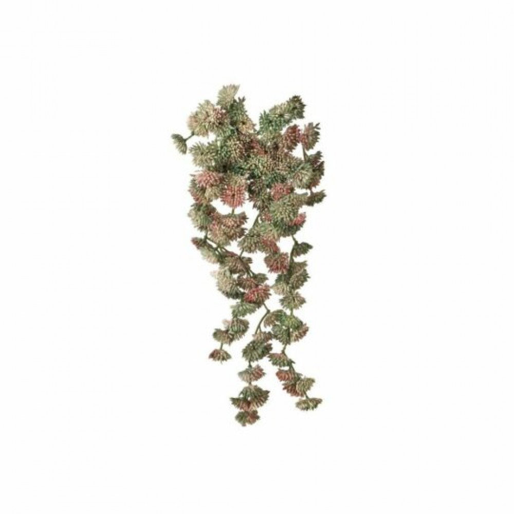Ebern Designs Pink And Green Real Touch Hanging Sedum Vine Pick Faux ...