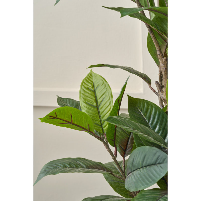 130cm Faux Magnolia Tree in Fibrestone Pot