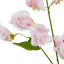 Arrangement-111171316-111171315