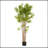 70" Artificial Bamboo with Pot