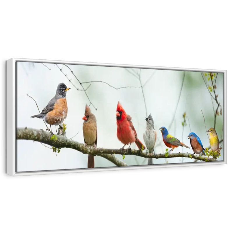 Rassemblement d'oiseaux, Cadre flottant blanc, 46 po x 16 po