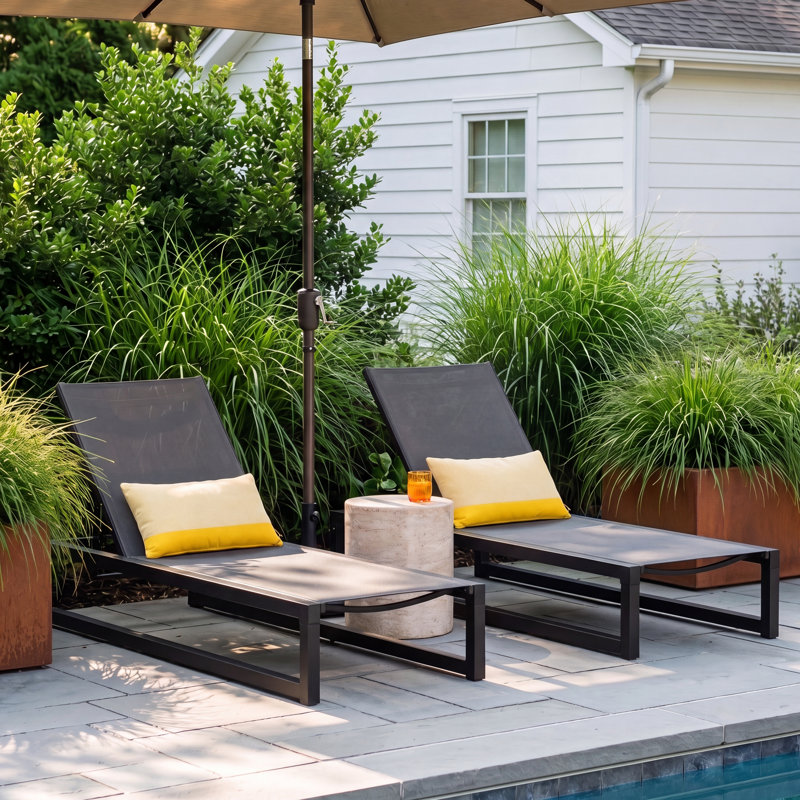 Clian Outdoor Metal Chaise Lounge Set, Dark Gray/Black