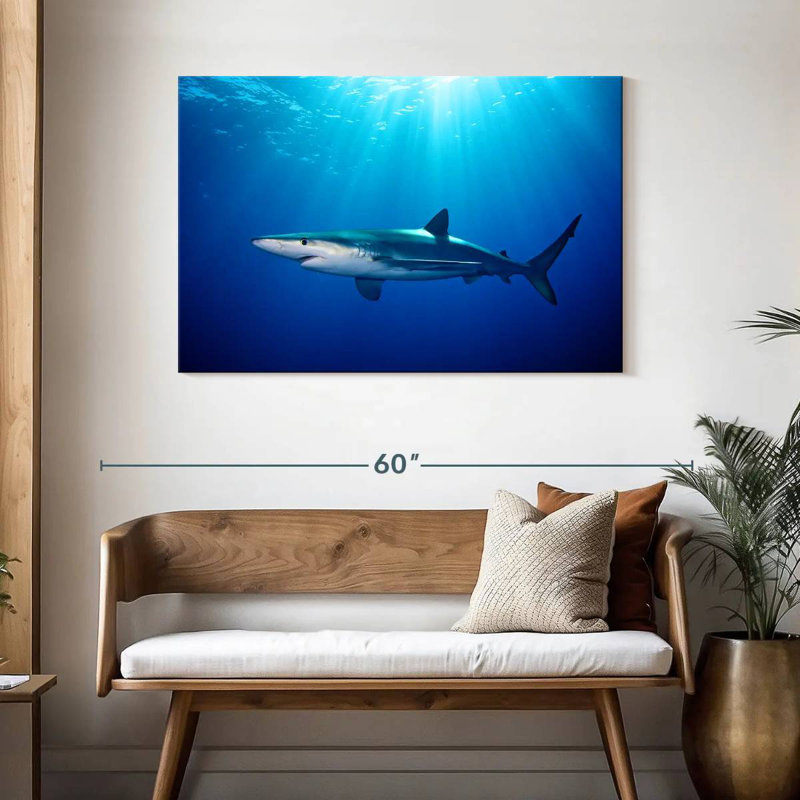Brampt Blue Shark In Gordon's Bay, 30" H x 45" W