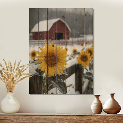 Photo de tournesols dans la clôture de grange d'hiver I - Décoration murale en bois de tournesols - sur bois de pin naturel