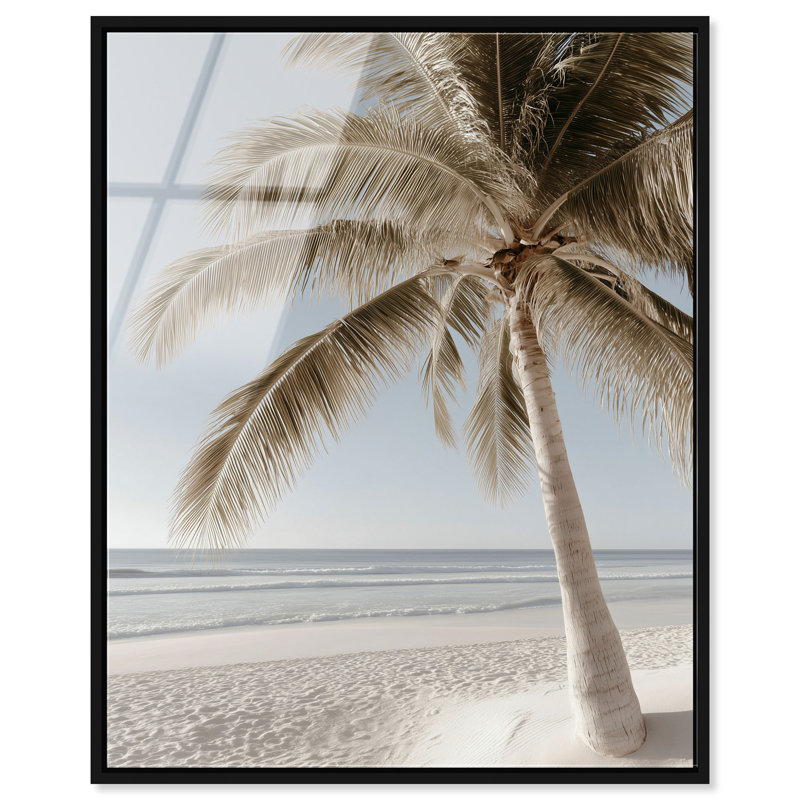 Creamy Coastal I High-Gloss Frameless Acrylic Glass Wall Art Nautical & Beach Print by Oliver Gal, Ready to Hang, 16 x 20