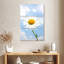 Marguerite blanche contre ciel nuageux-699127114