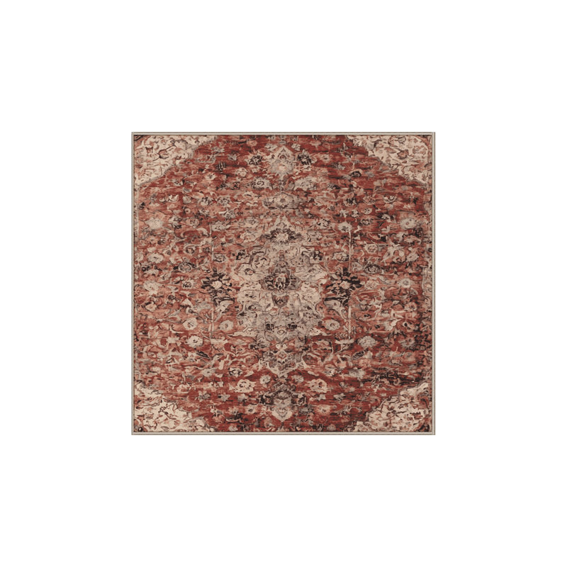 Machine Washable Brown Area Rug, Square 7'