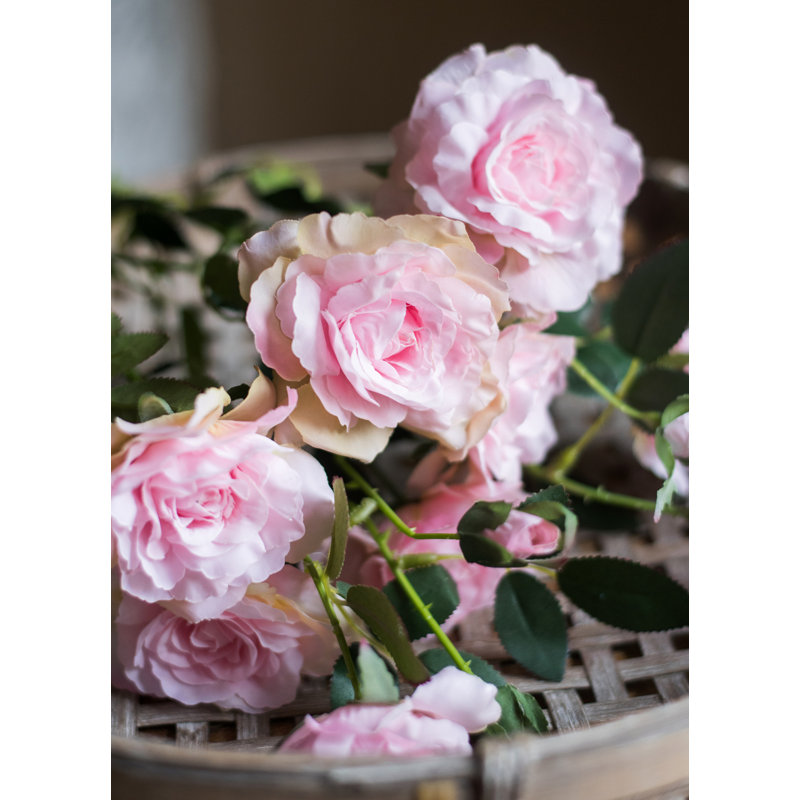 Tige de rose en fleur