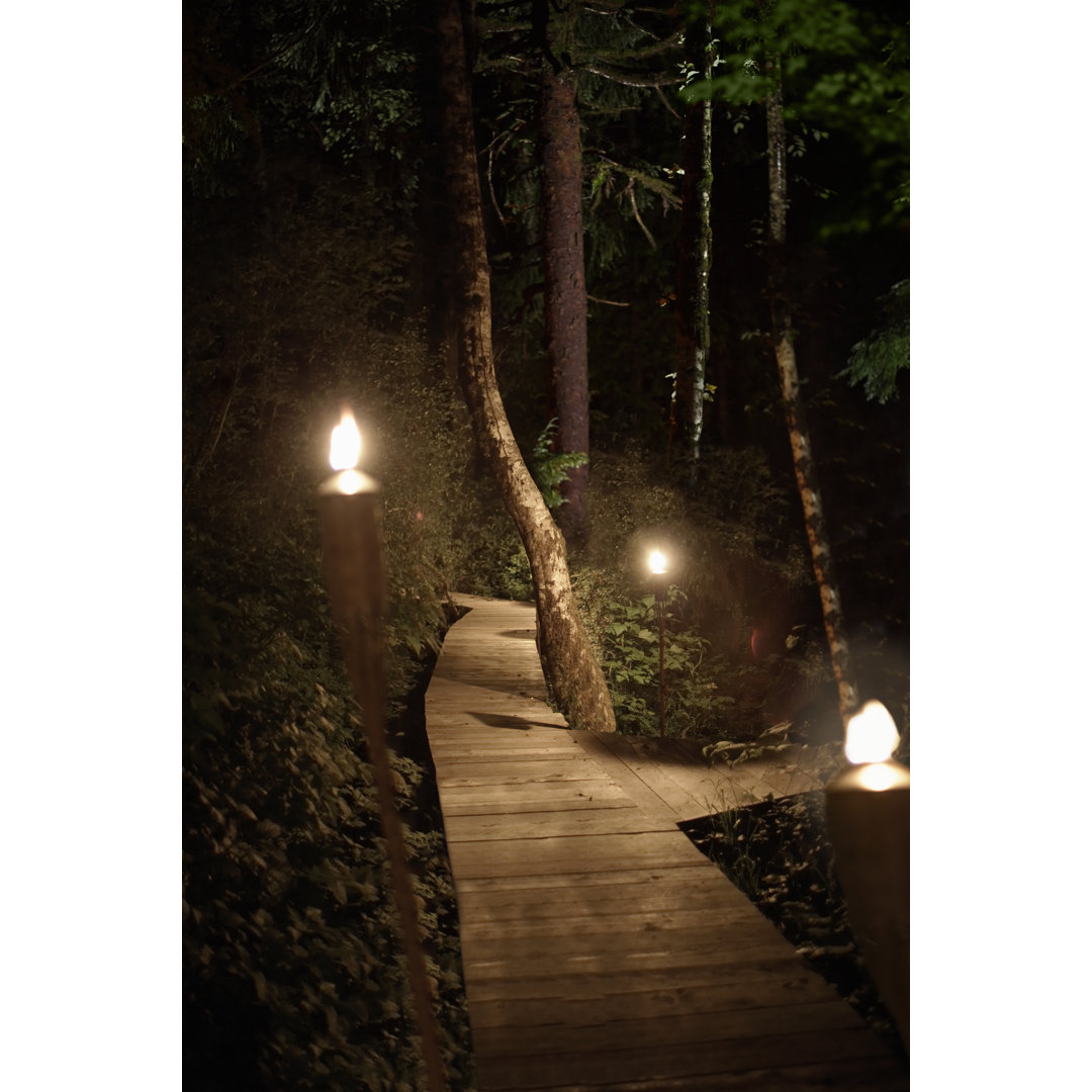 Forest Pathway Lit Up At Night By Torches. von Ryan McVay - Druck auf Leinwand ohne Rahmen