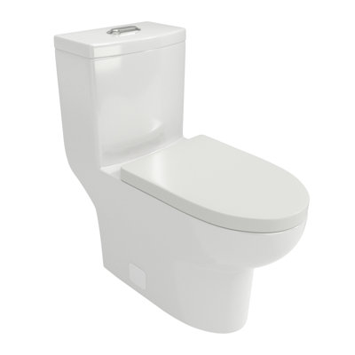 Ceramic One Piece Toilet,Dual Flush With Soft Clsoing Seat