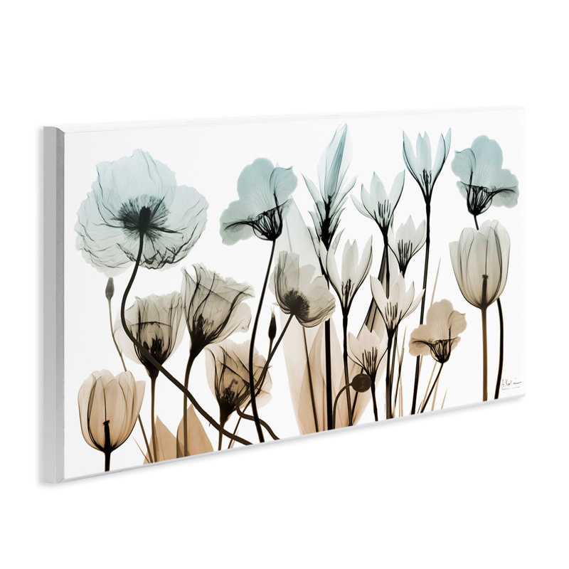 Mixed X-Ray Flowers par Albert Koetsier