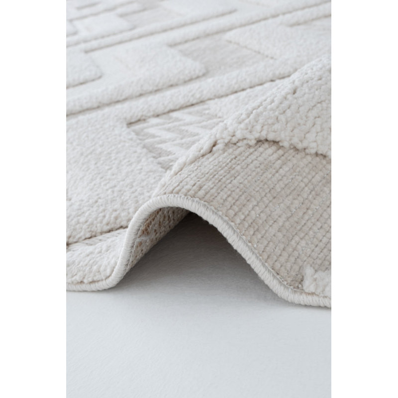 Reionna Machine Made Indoor / Outdoor Area Rug, Runner 3'11" x 16'4"
