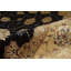 Hand Woven Wool Oriental Area Rug