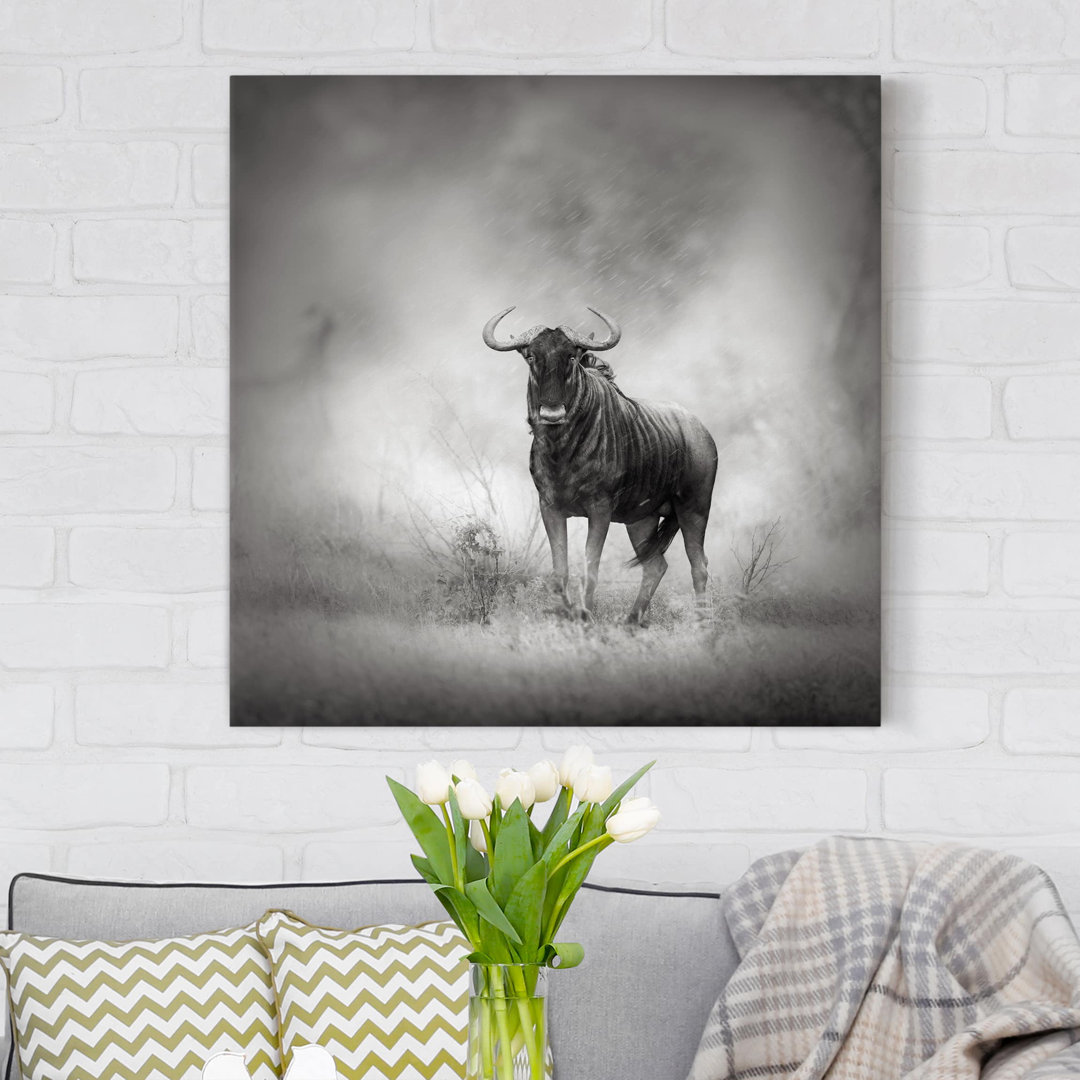 Leinwandbild Staring Wildebeest