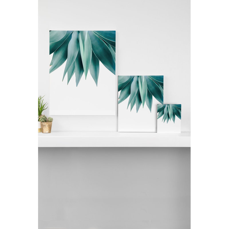 « agave frange », impression, H 10 po x l 8 po x P 2 po, Toile tendue, Pas de tapis