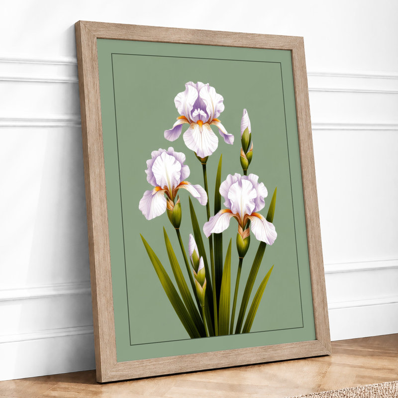 Ruffled Iris Study Botanical - Framed Print, A1 - 84.1 x 59.4 cm, Oak