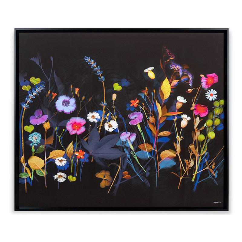 «Wildflower Collection 1» par Katie Todaro - impression sur papier pour une seule photo