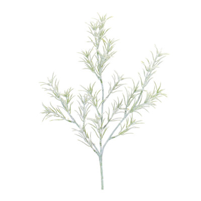 Rosemary Foliage (ensemble de 6)
