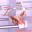 28.3cm W Stainless Steel Storage Rack