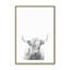Highland Spirit, dans un cadre,-181260556-181260562