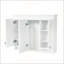 Armoire à miroir murale 35 pouces tout-en-un avec tablettes réglables, charnières à fermeture douce pour meuble-lavabo et rangement