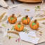 Forest Walk Pumpkin Place Card Holder-492199586