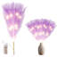 PVC Holiday Shaped Ornament-273499706