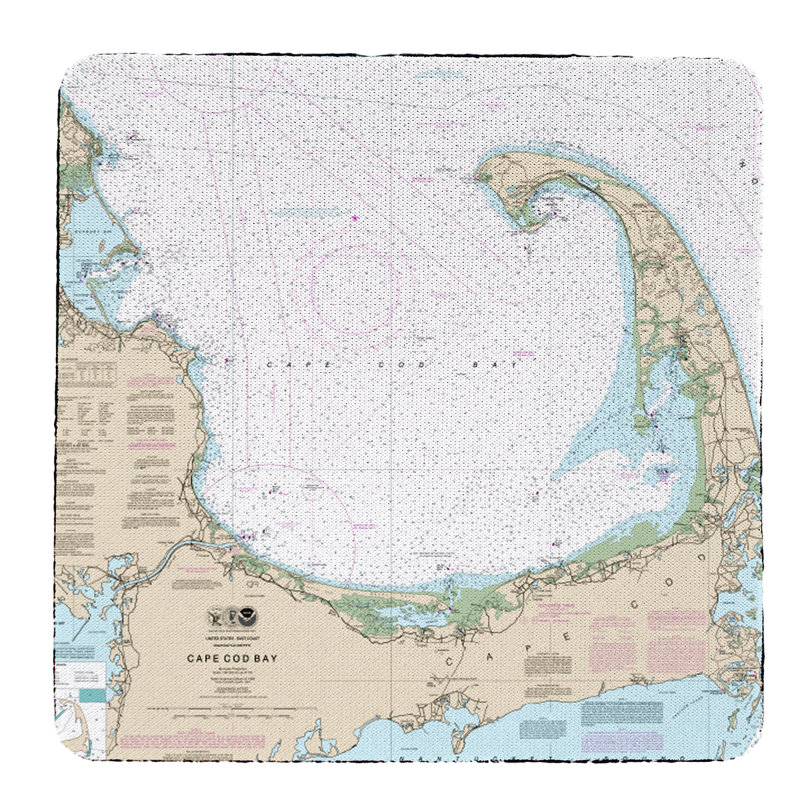 Square 4 Piece Coaster Set