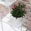 Support pour plante à plusieurs niveaux Free Form