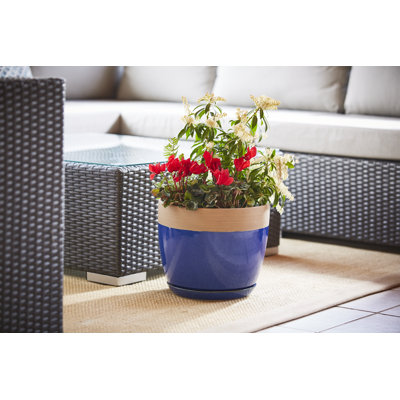 Ana Ceramic Pot Planter with Saucer