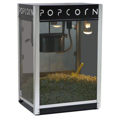 Paragon International Contempo Pop 8 oz. Replacement