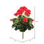 Faux buisson de géranium-341537897
