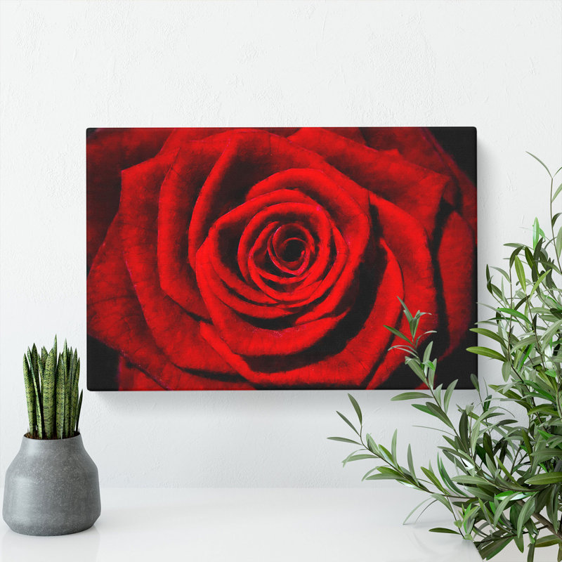 Red Rose Flower Vol.5 - Wrapped Canvas, 35cm H x 50cm W x 3cm D